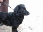 ombra_2