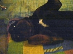 rott._nadia_2