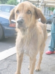 sabrina5_01_05_09