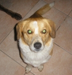 trovatoisolasacra2