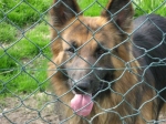 ulisse2