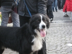 willy6
