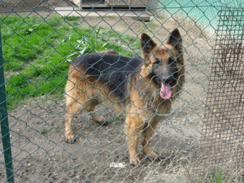 ulisse