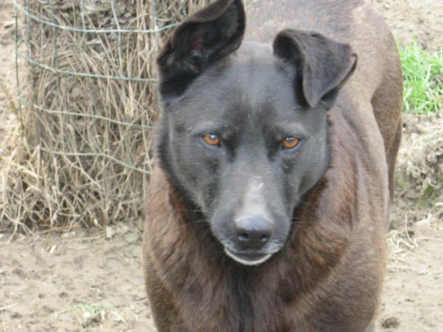 winnie_2
