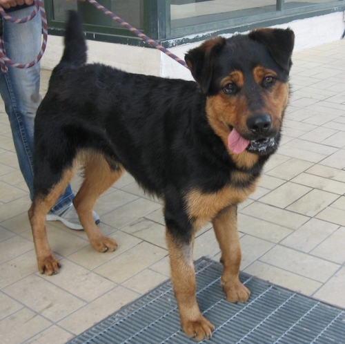 657-09_boris