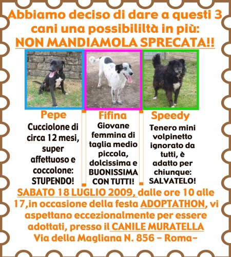 adoptathon1