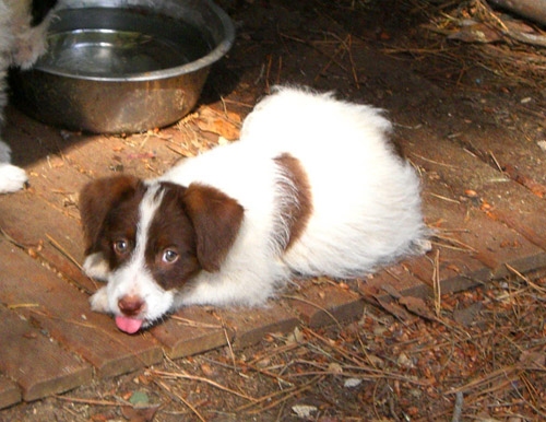 cimg0349_copy