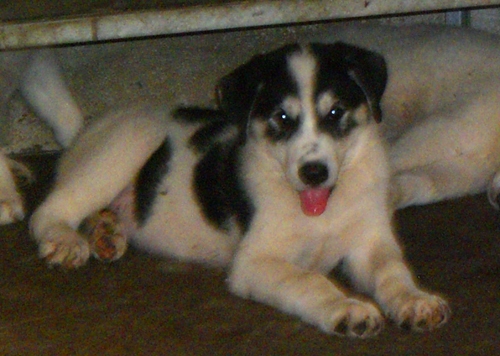 cimg0758