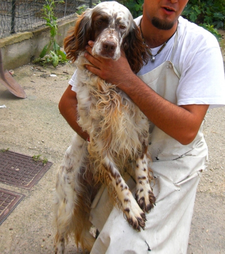 tergiorgiobello