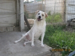 antonio019