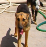 cimg0374_copy
