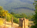 ilposto
