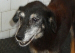 liu4