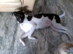penny_01