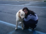 shonsara1_copy_copy