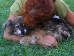sweetydolce