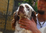 tergiorgio2