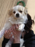 trisha_3