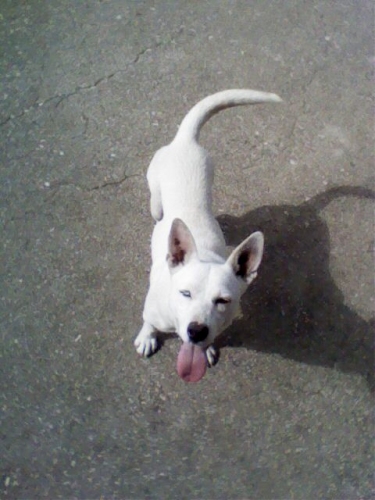 ariel_2