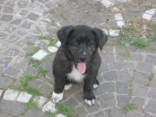 blacky2