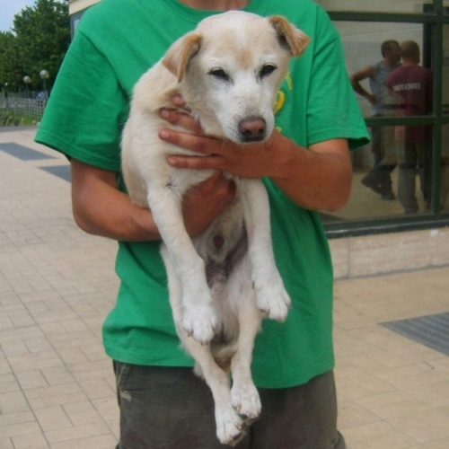 canepisana