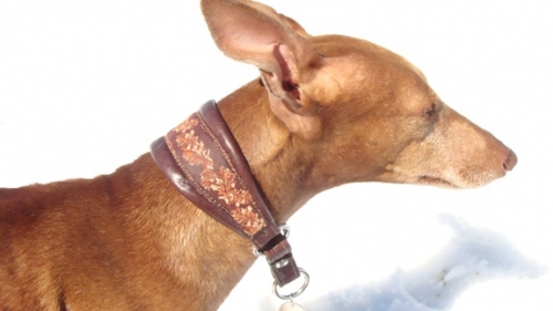 dobby1