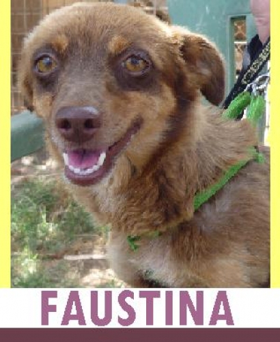 faustina