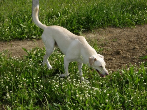 livia2_022