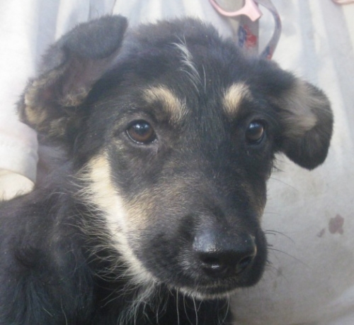mila168web