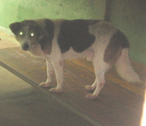 milla_img_0416