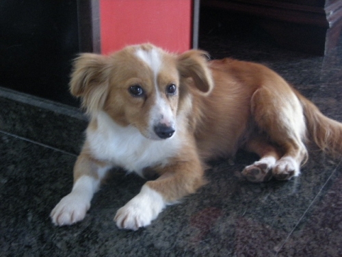 nina1_copy