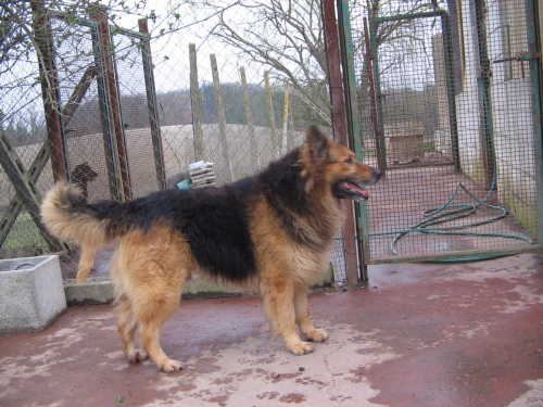 oasi_ralf