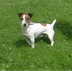 1788-08_lapo