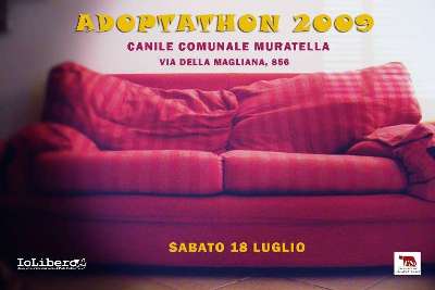 adoptathon2009_1