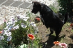 aprile2008e
