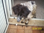 beate1