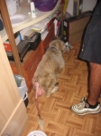 bella_017_2