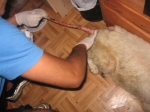 bella_018_2