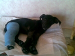 billy1_copy
