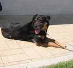 camilla_03-04_1