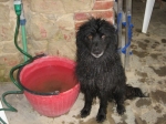 nerina1