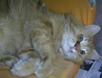 oscar177-09_1