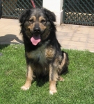 pablo_img_6506