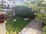 pampa2