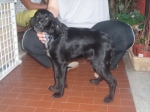 quirino4