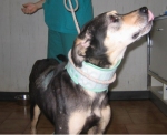 sandokanclinica1