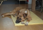 sasha_casa_05