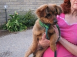 tommi2