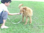 twister