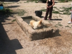 willy_1